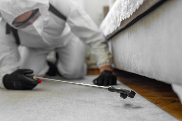 Professional Bed Bug Control technician working in Butts County County, GA